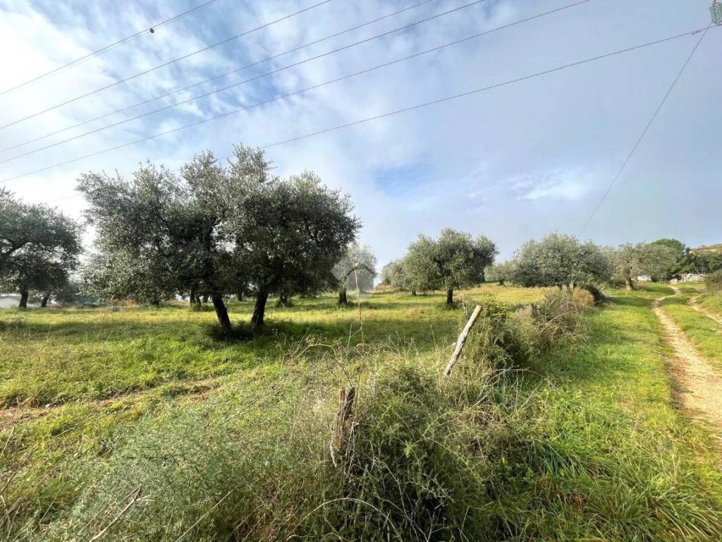 Rustico / casale a Narni in Str. di Castello, 2 - Foto 4
