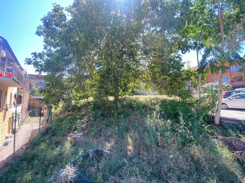 Rustico / casale a Monterosi in Piazzale La Marmora, 1 - Foto 2