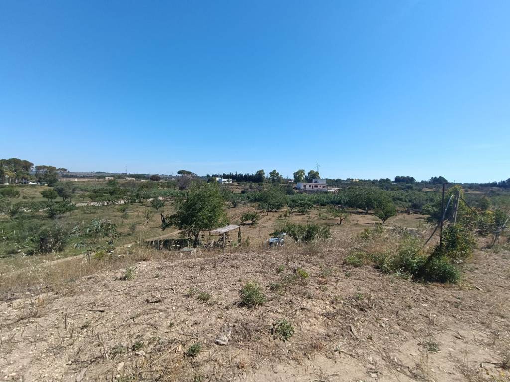 Terreno a Sannicola in SP52 - Foto 2