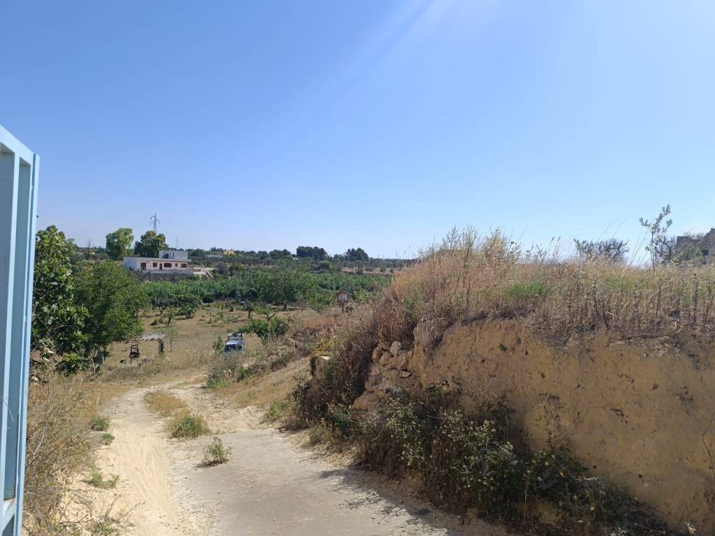 Terreno a Sannicola in SP52 - Foto 5