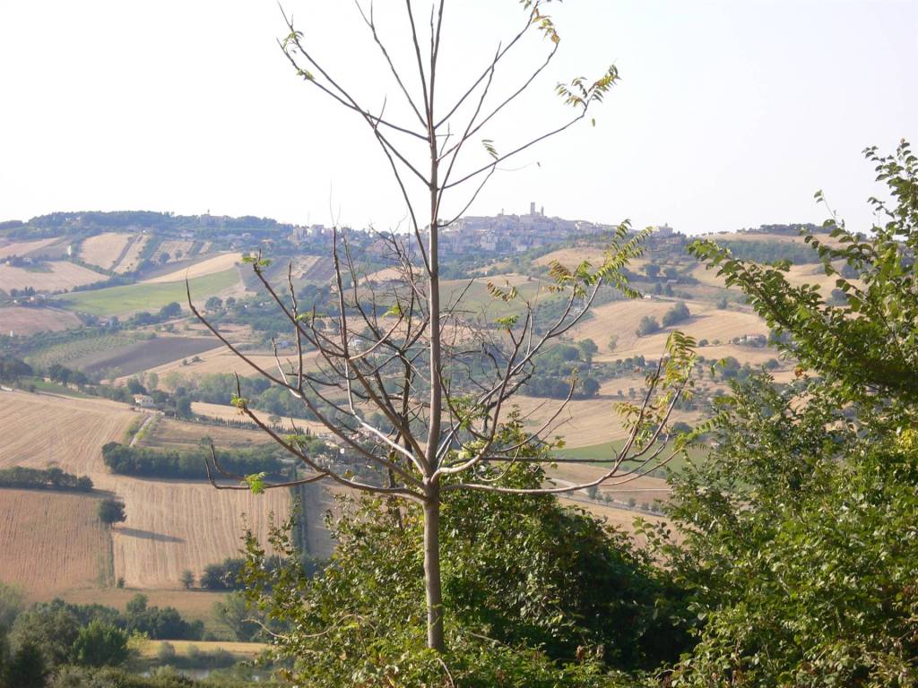 Rustico / casale a Civitanova marche - Foto 4