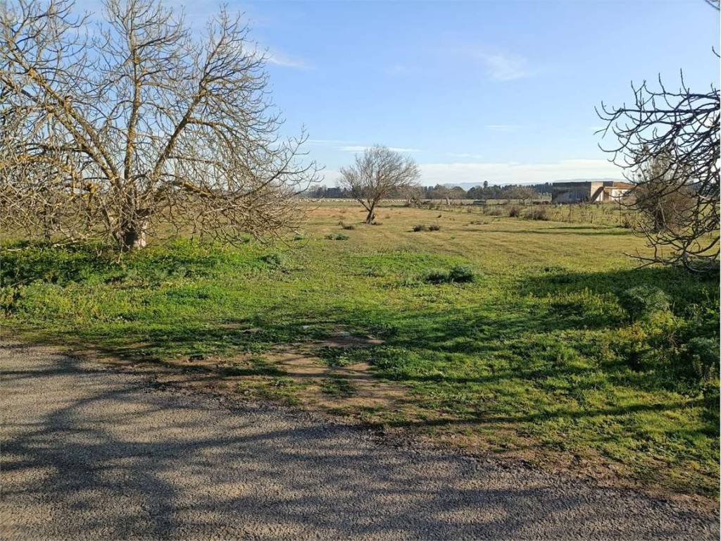 Terreno a Decimomannu - Foto 2