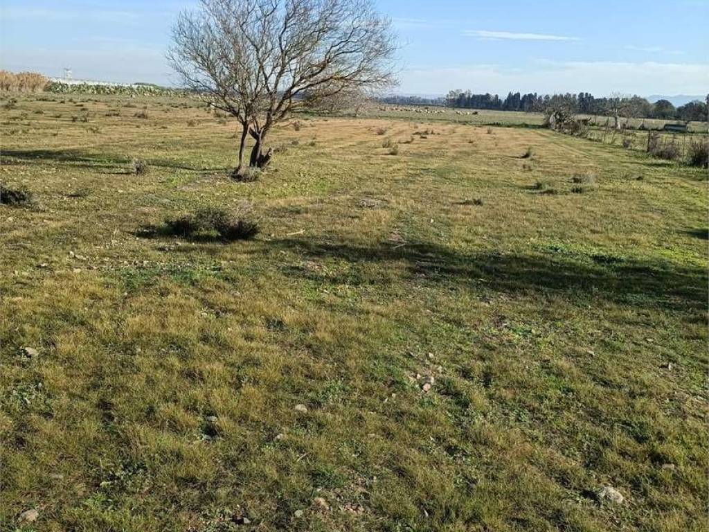Terreno a Decimomannu - Foto 3