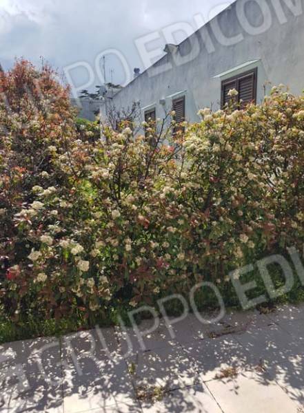 Villa a Bisceglie in Panoramica Umberto Paternostro - Foto 3