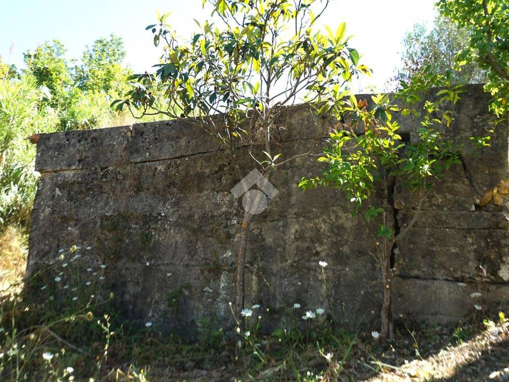 Terreno a Montecorvino rovella in Contrada Pezze - Foto 4