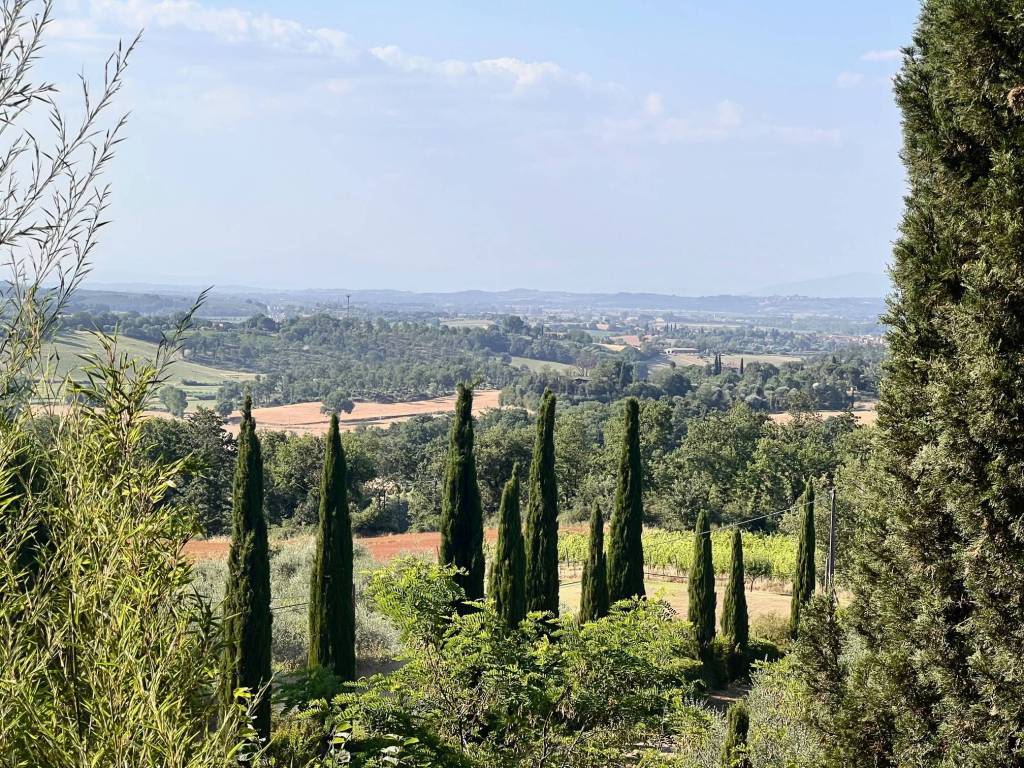 Rustico / casale a Chiusi in Via Bonci, 7 - Foto 4