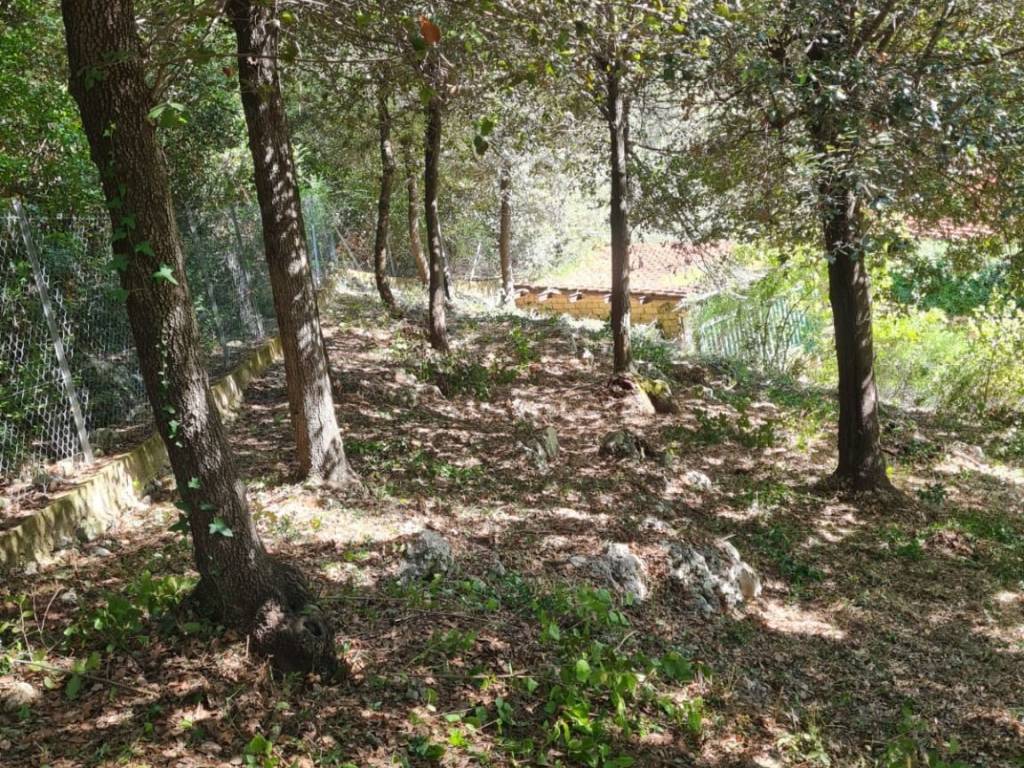 Villa a Palombara sabina in Strada di Valle Cupa - Foto 4