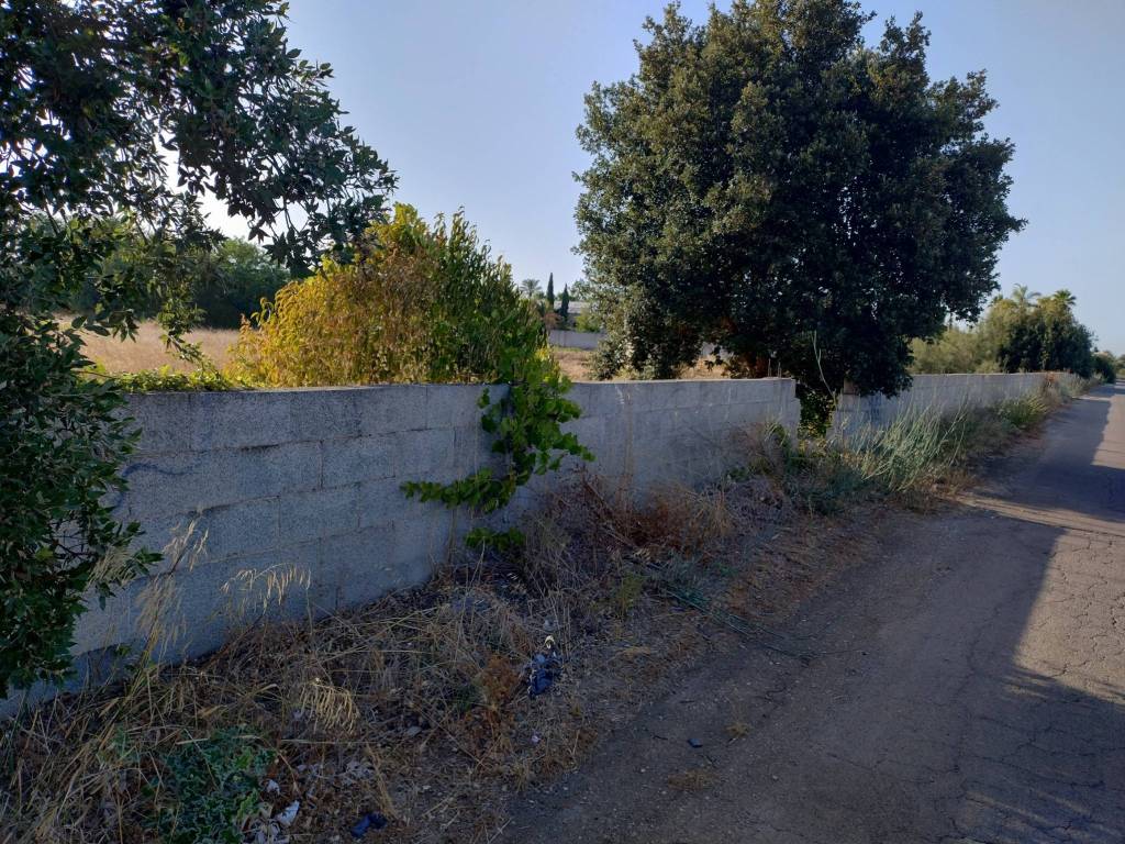 Terreno a San donaci in Via San Pancrazio - Foto 2