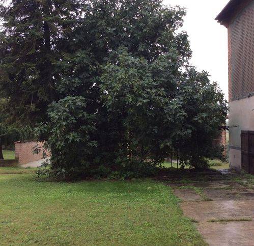 Villa a Altavilla monferrato - Foto 2