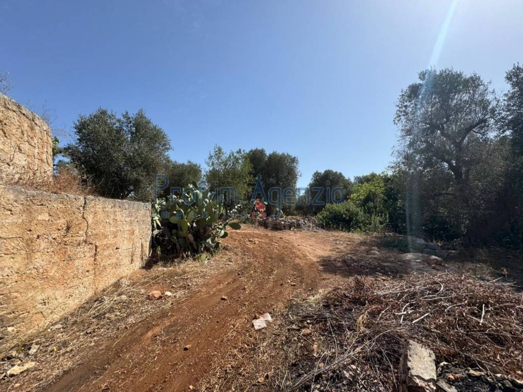 Rustico / casale a Ostuni - Foto 3