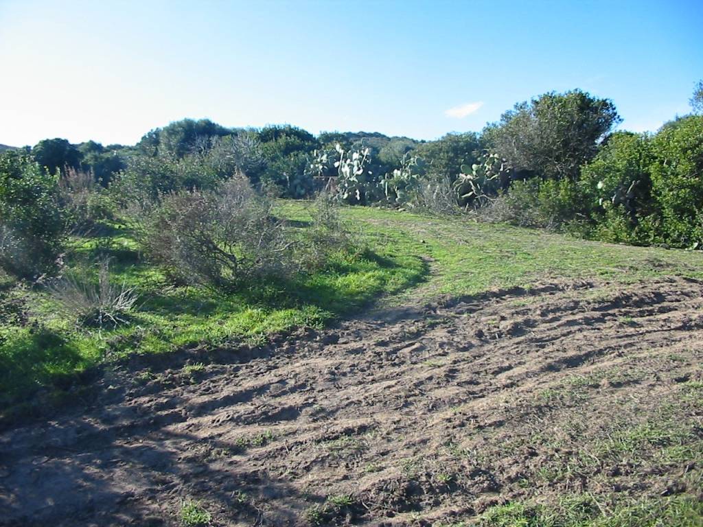 Terreno a Sant'antioco in Località Is Carallettus - Foto 3