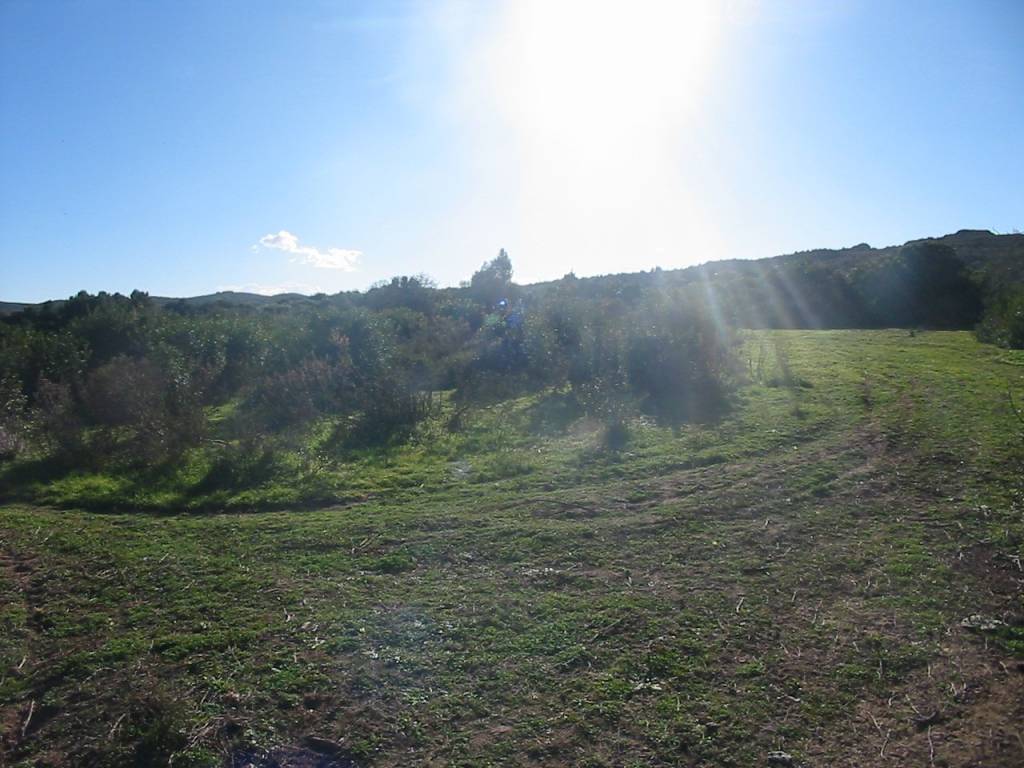 Terreno a Sant'antioco in Località Is Carallettus - Foto 4