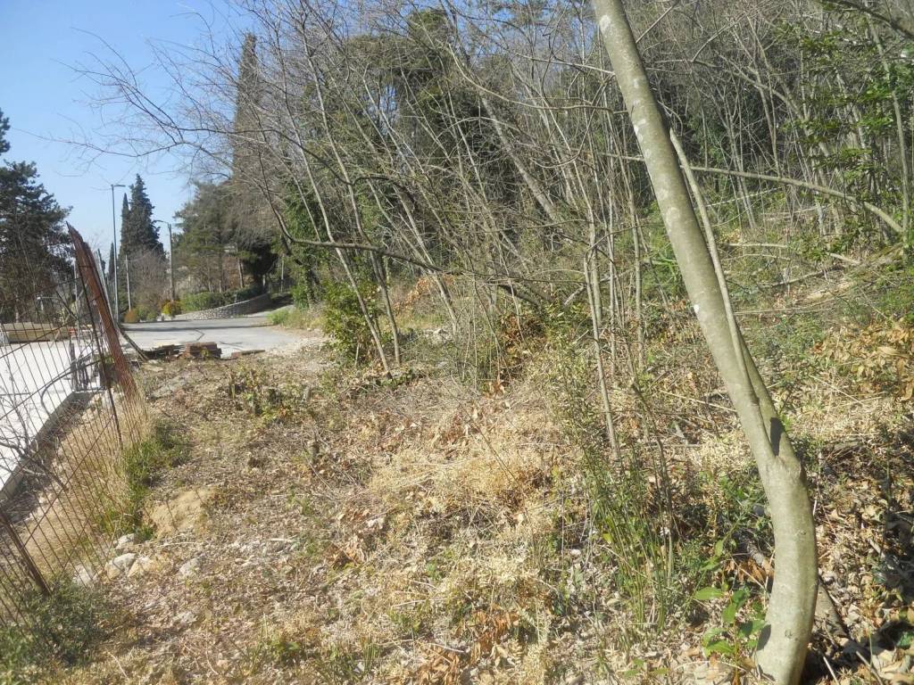 Terreno a Sagrado in Via Dei Pini S.N.C. - Foto 3