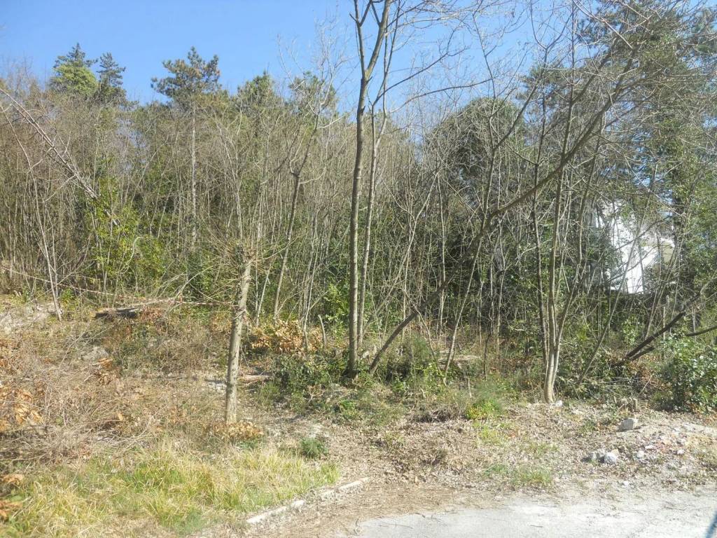 Terreno a Sagrado in Via Dei Pini S.N.C. - Foto 4