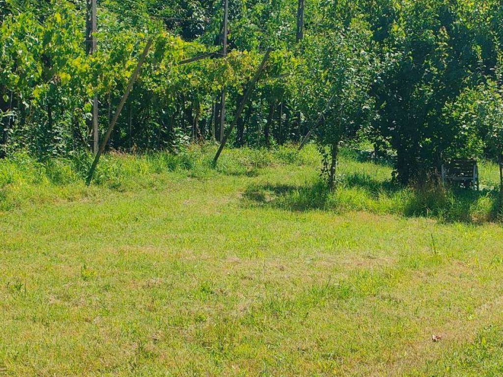 Rustico / casale a Russi - Foto 4