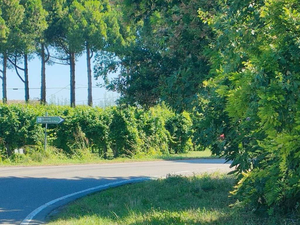 Rustico / casale a Russi - Foto 5