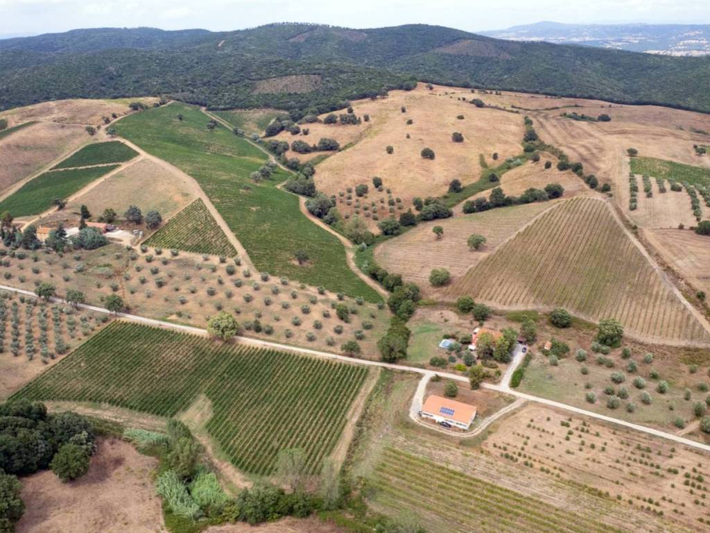 Rustico / casale a Magliano in toscana in Strada Provinciale Amiatina - Foto 3