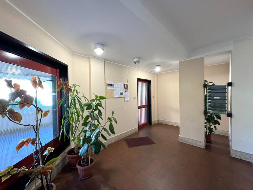 Appartamento a Campobasso - Foto 3