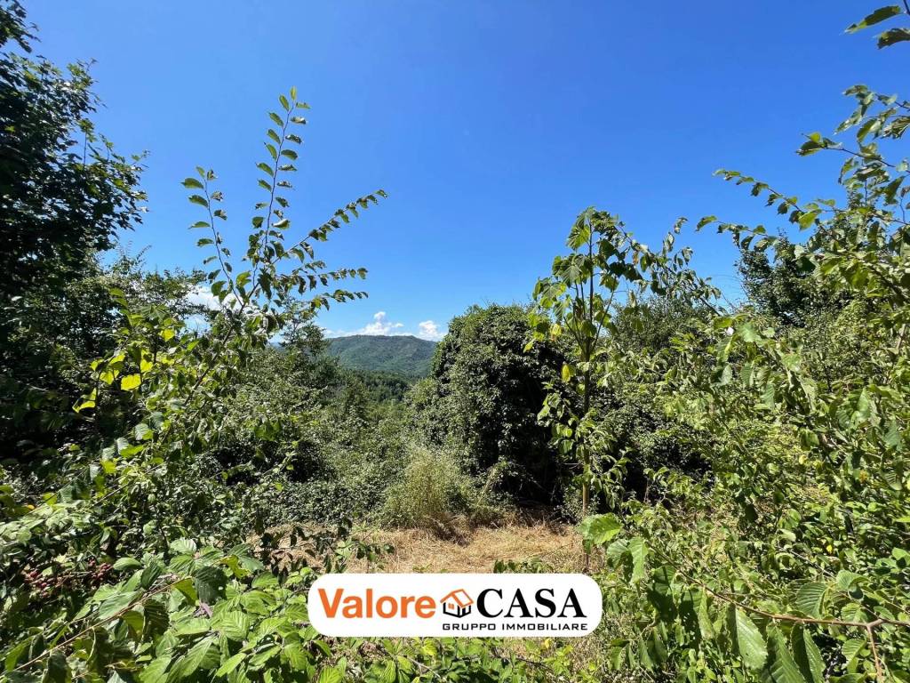 Rustico / casale a Ponzone - Foto 2