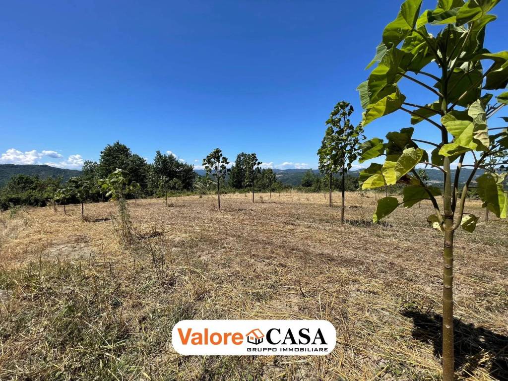 Rustico / casale a Ponzone - Foto 3