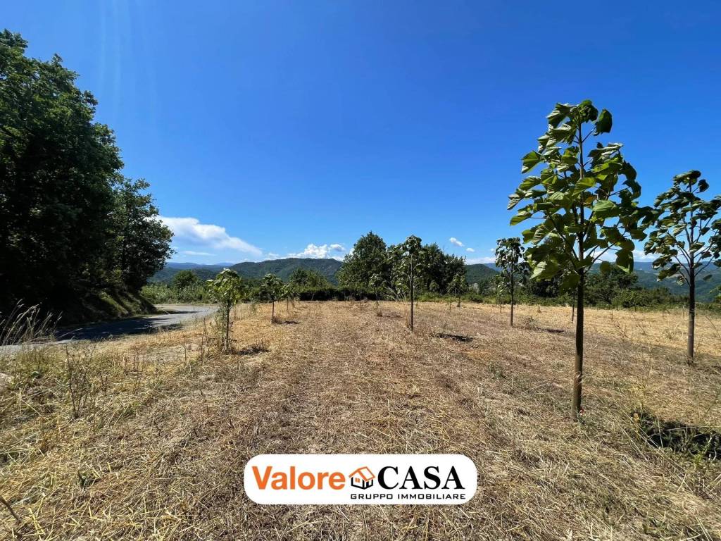 Rustico / casale a Ponzone - Foto 4