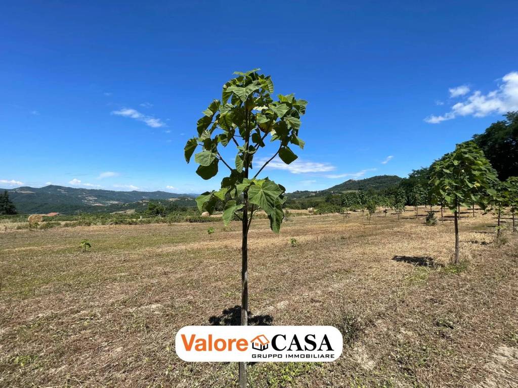 Rustico / casale a Ponzone - Foto 5