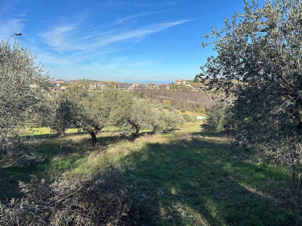 Terreno a Silvi in Contrada Piane Maglierici - Foto 2