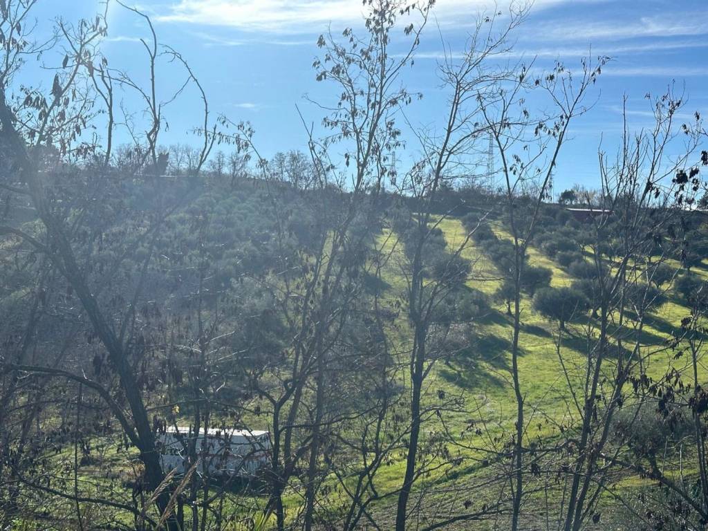 Terreno a Silvi in Contrada Piane Maglierici - Foto 4