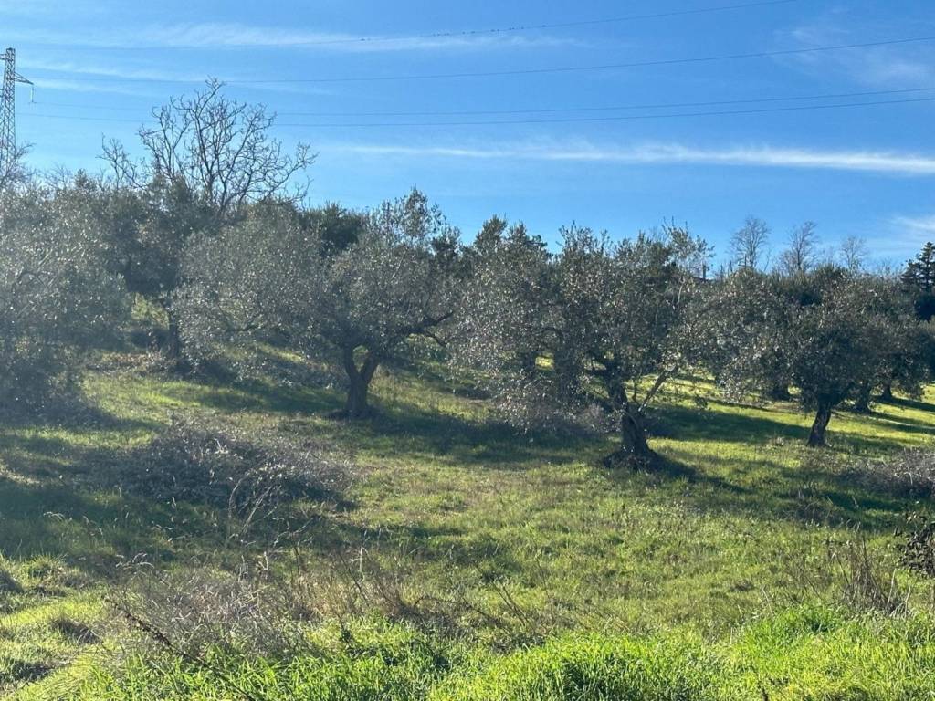 Terreno a Silvi in Contrada Piane Maglierici - Foto 5