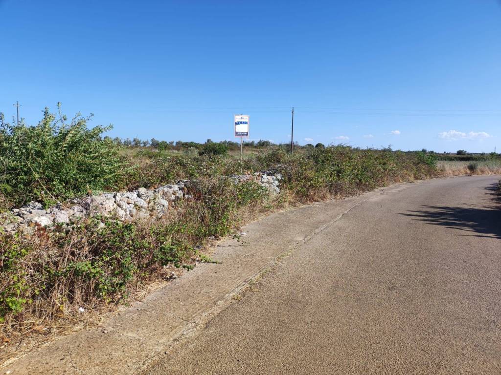 Terreno a Zollino in Strada Provinciale Galatone Galatina Martano - Foto 2