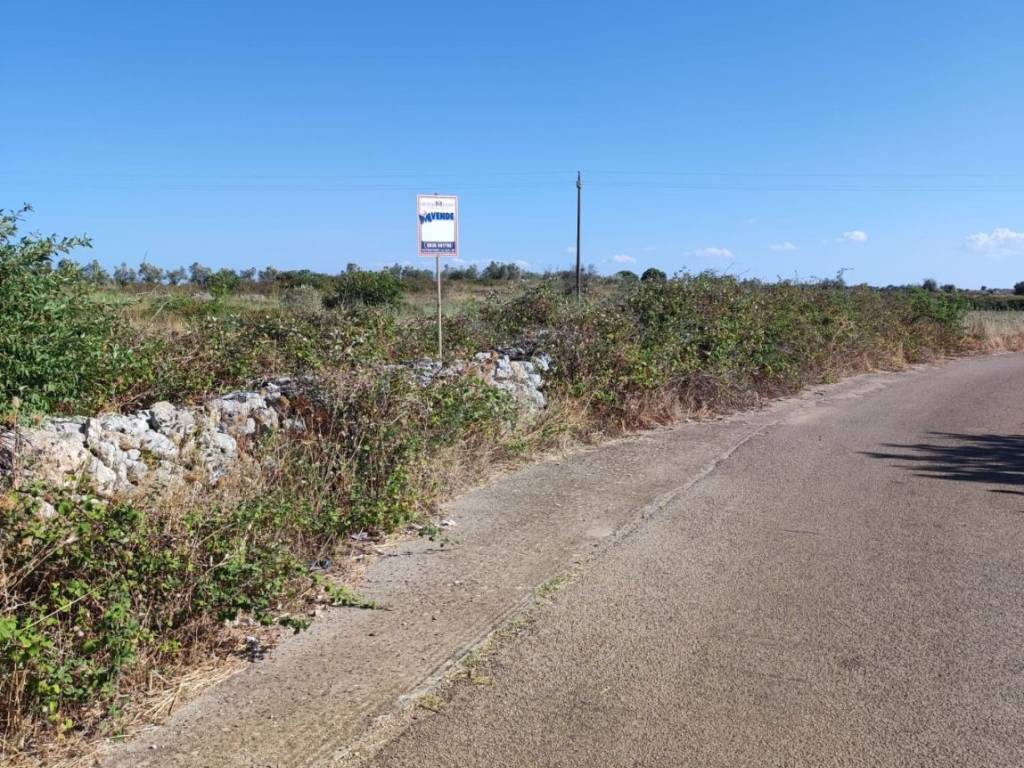 Terreno a Zollino in Strada Provinciale Galatone Galatina Martano - Foto 3