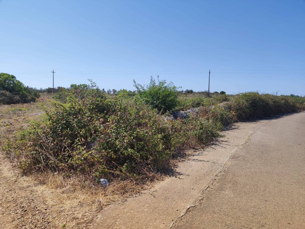 Terreno a Zollino in Strada Provinciale Galatone Galatina Martano - Foto 4