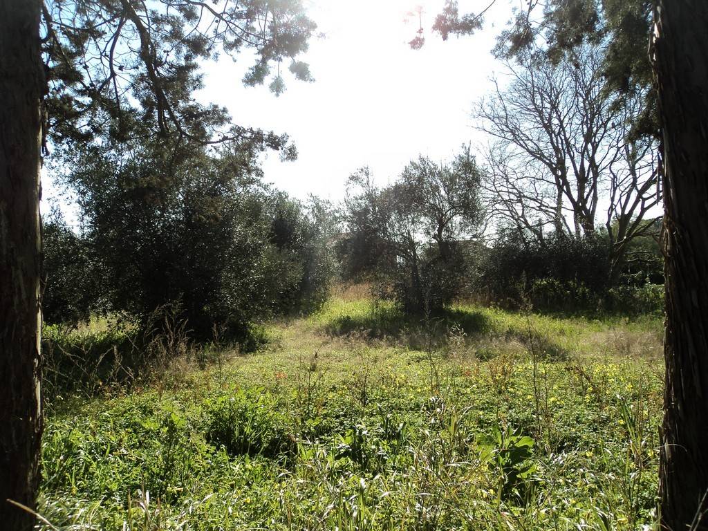 Villa a Caltagirone in Via Croce del Vicario, 14 - Foto 3