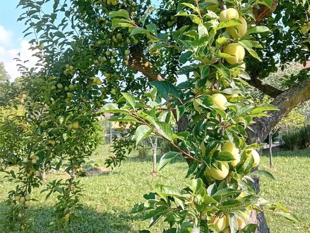 Casa indipendente a Biella in Strada alla Filatura di Tollegno, 1 - Foto 2