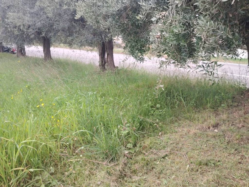 Rustico / casale a Offida in Contrada San Lazzaro, 29 - Foto 4