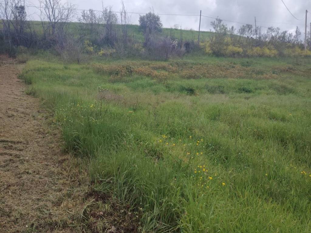 Rustico / casale a Offida in Contrada San Lazzaro, 29 - Foto 5