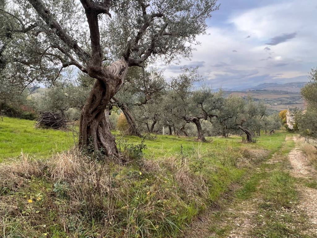 Villa a Penne in Contrada Santa Vittoria - Foto 3