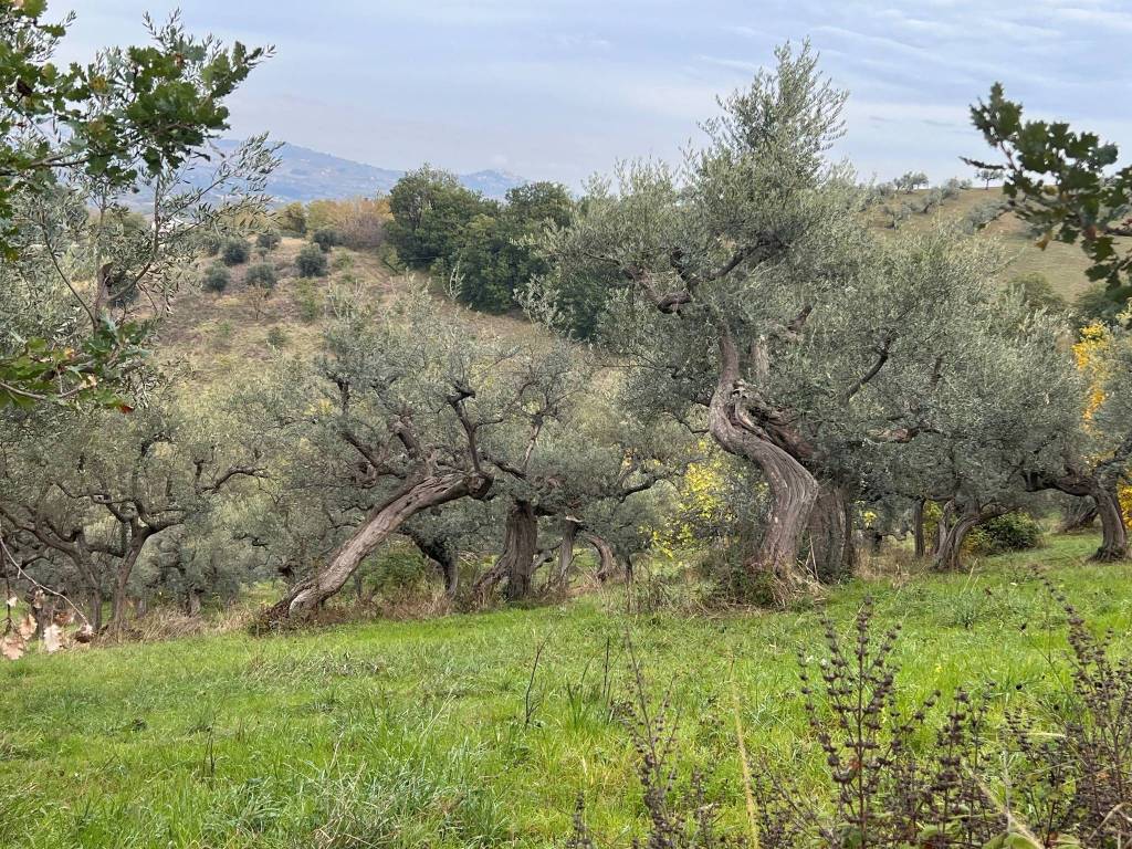 Villa a Penne in Contrada Santa Vittoria - Foto 4