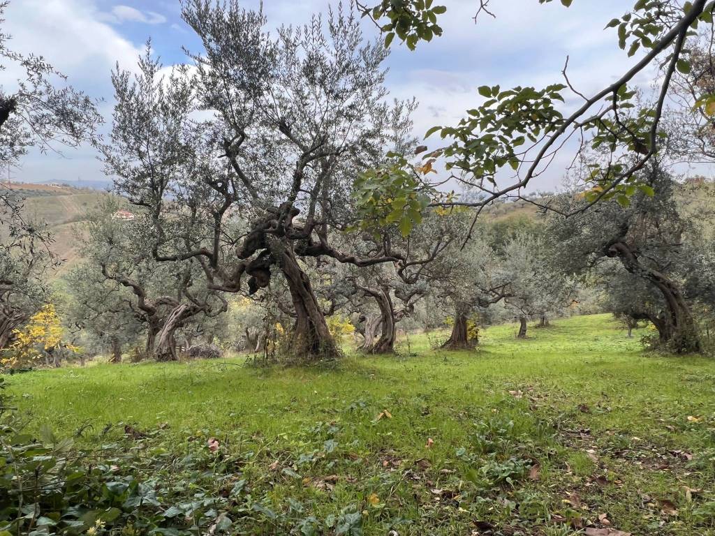 Villa a Penne in Contrada Santa Vittoria - Foto 5