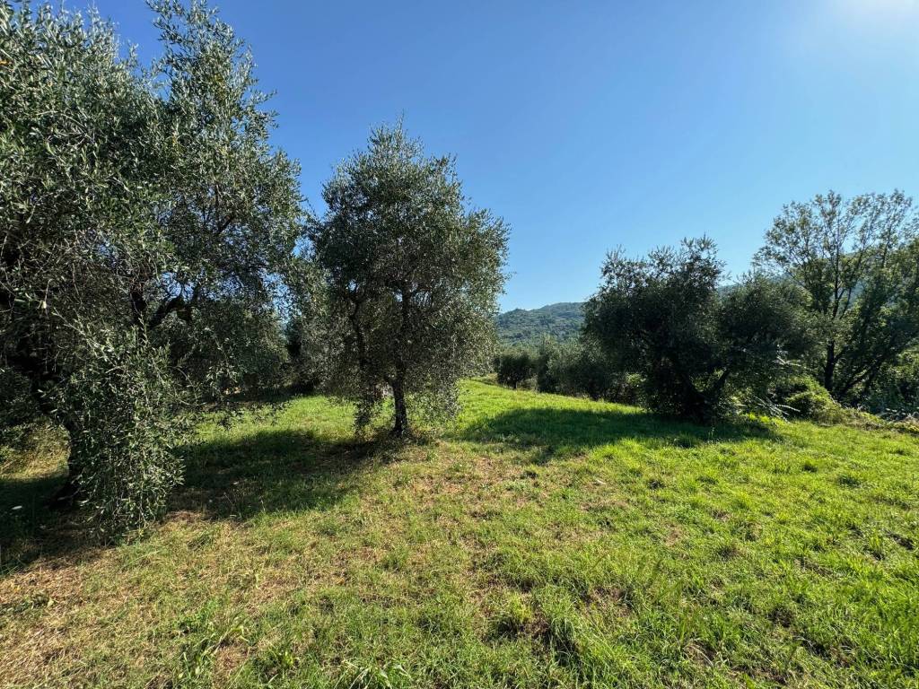 Villa a Pistoia - Foto 4