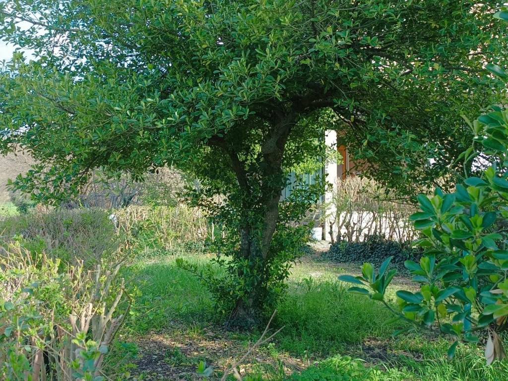 Villa a Assisi in Via Adelmo Canini - Foto 3