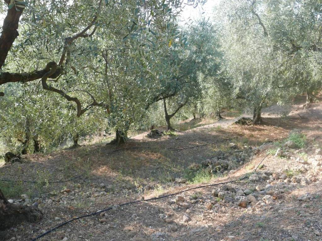 Terreno a Camporosso in Strada Ciaixe - Foto 4