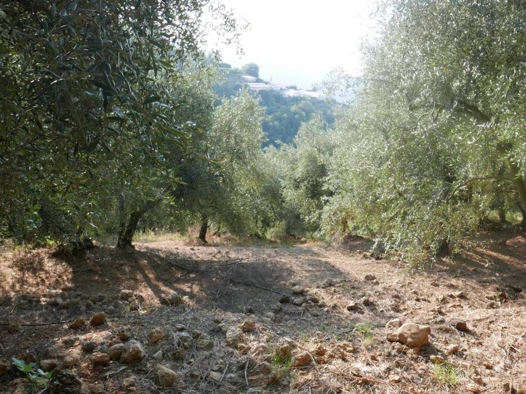 Terreno a Camporosso in Strada Ciaixe - Foto 5