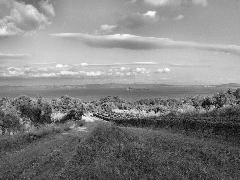 Terreno a Gradoli in Strada Provinciale Lago Bolsena - Foto 2