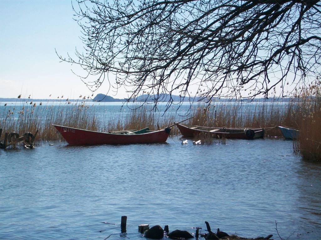 Terreno a Gradoli in Strada Provinciale Lago Bolsena - Foto 4