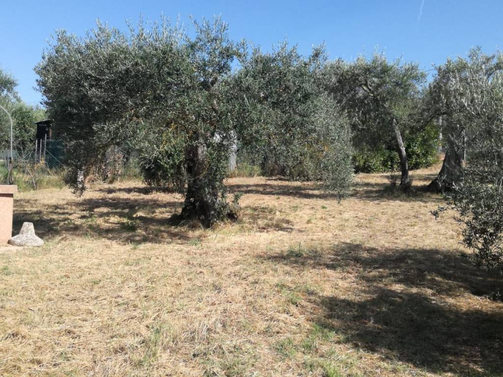 Terreno a Magione in Via Montecucco - Foto 4