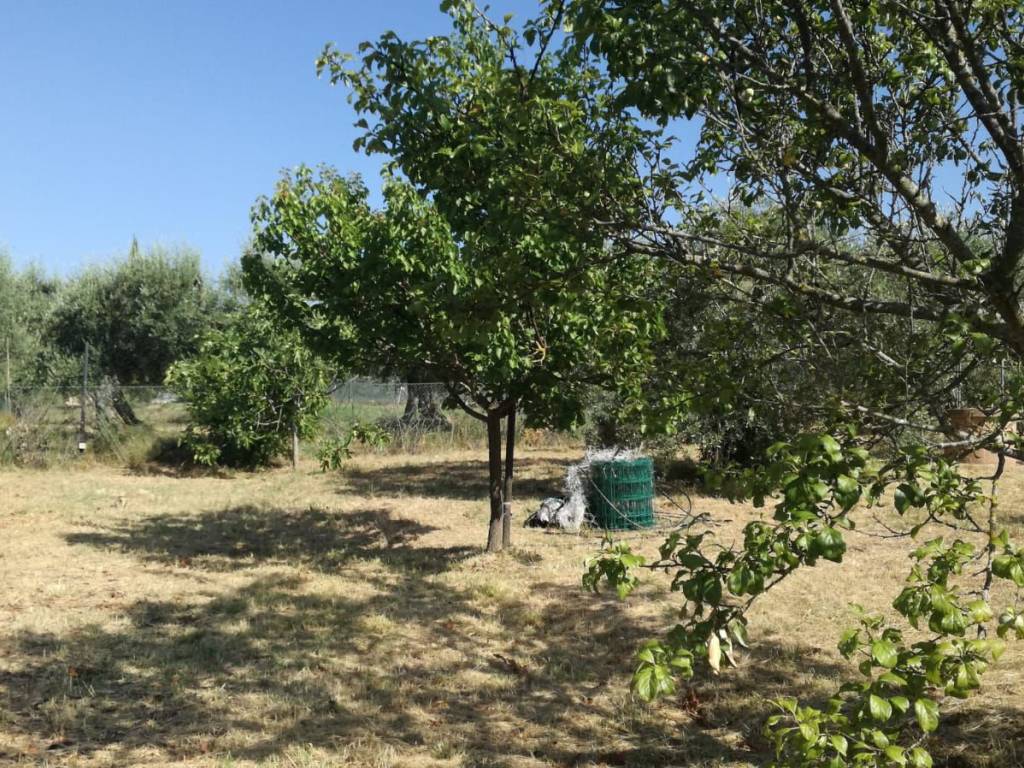 Terreno a Magione in Via Montecucco - Foto 5