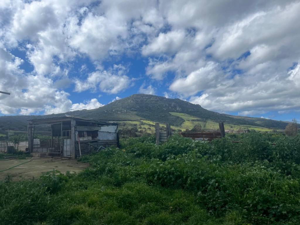 Terreno a Alghero in Strada Provinciale, 57 - Foto 5