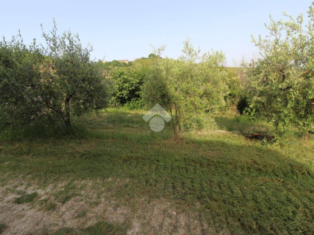 Terreno a Offida in Casolare con terreno CONTRADA CIAFONE, 140 - Foto 3