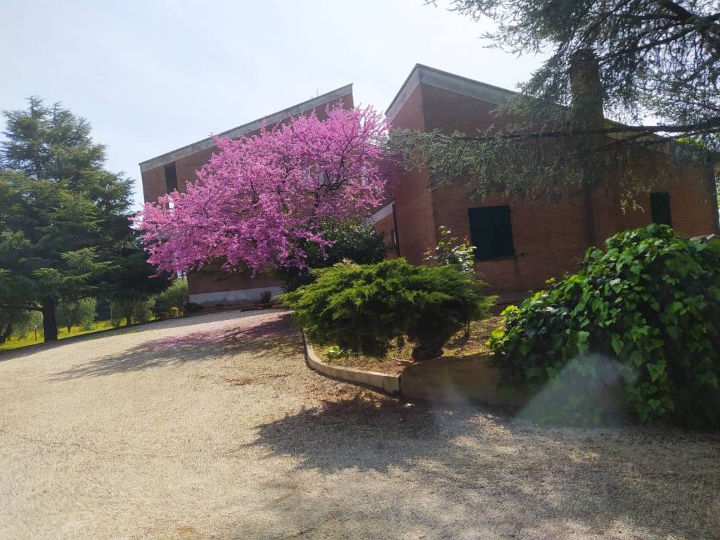Appartamento a Civitanova marche in CONTRADA MORNANO, 64 - Foto 3